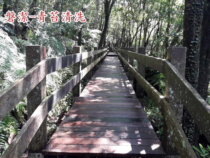 磐潔-木板步道-青苔清洗